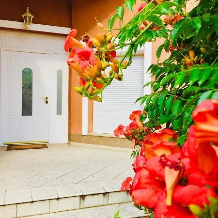 住宿加早餐酒店 Apollo 韦伦采