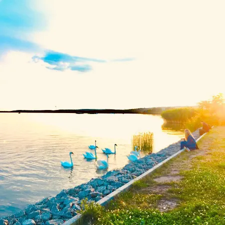 Apollo 住宿加早餐酒店