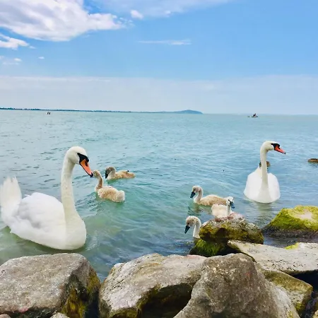 Apollo Веленце