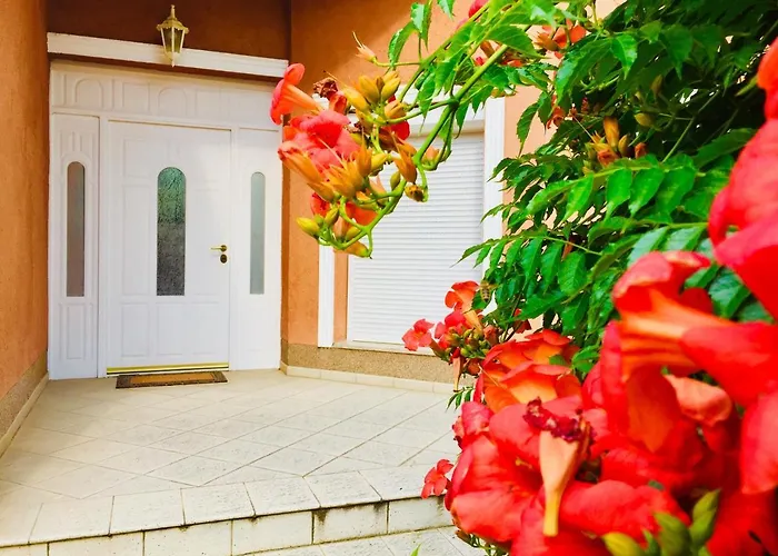 Bed & Breakfast Apollo Velence