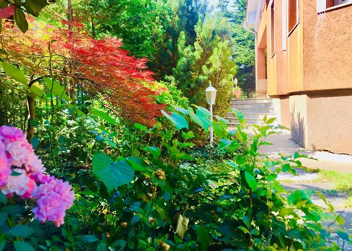 לינה וארוחת בוקר Apollo *