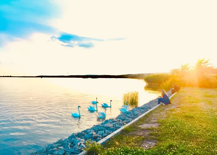 Apollo Отель типа 