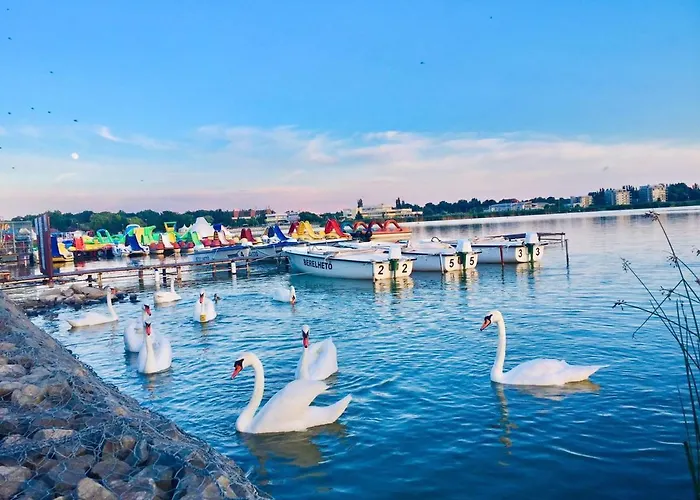 Bed & Breakfast Apollo