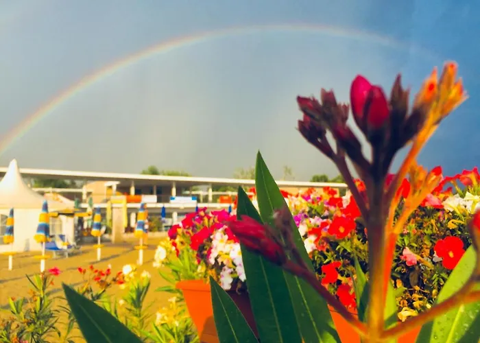 Bed & Breakfast Apollo *